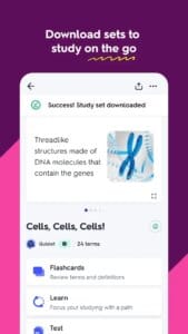 Quizlet 6