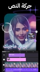 Vidma Editor 4