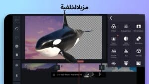 كين ماستر  البنفسجي 4